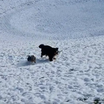 Hana & Loti na snegu