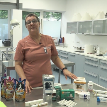 Veterinarski nasvet – Popotna lekarna za naše hišne ljubljence