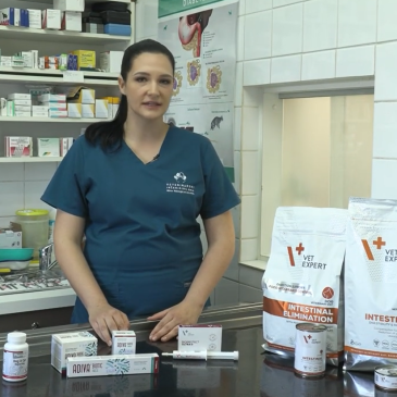 Veterinarski nasvet – Prebiotiki in probiotiki – Veterina Nabergoj Štiri Tačke 987 subscribers