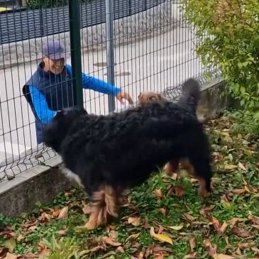Hana & Loti – Pasja ljubezen