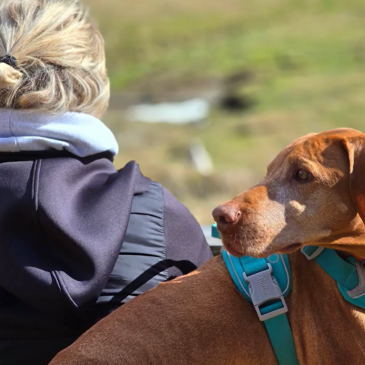 Psička Juna odkriva Slovenijo