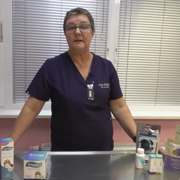 Veterinarski nasvet – Pomoč živalim zaradi pokanja petard