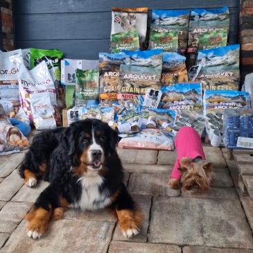 Humanitarna akcija za zapuščene živali