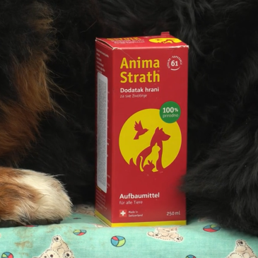 Hana in Loti priporočata