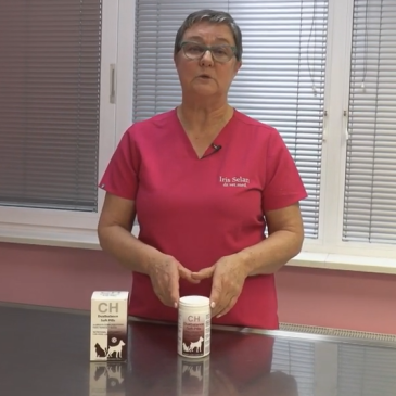 Veterinarski nasvet – Za bolj uravnoteženo prebavo naših kosmatincev