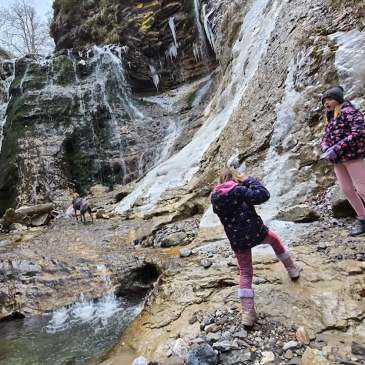 Psička Juna raziskuje Slovenijo: Stegovniški slap