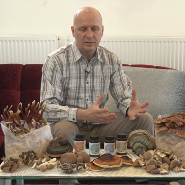 Izdelki iz zdravilnih gob za naše naše hišne ljubljenčke