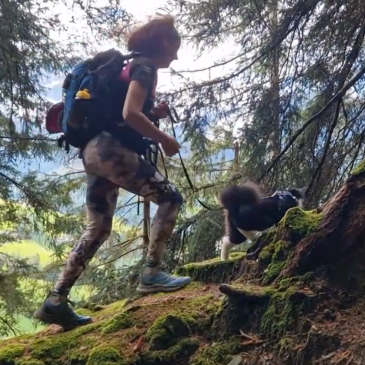 Jerca in Jona ter njune pasje in mačje tačke