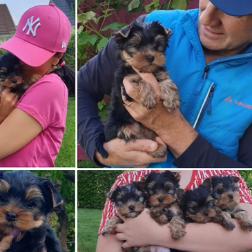 Loti – 4. rojstni dan