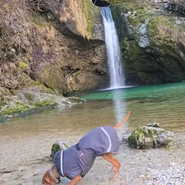 Psička Juna raziskuje Slovenijo – Slap Grmečica – Nomenj