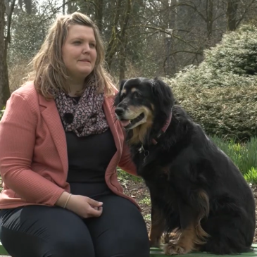 Veterinarski nasvet – Zaščita pred zunanjimi zajedavci na naraven način