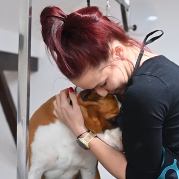 Priporočamo – Pasji salon Eva Brelih