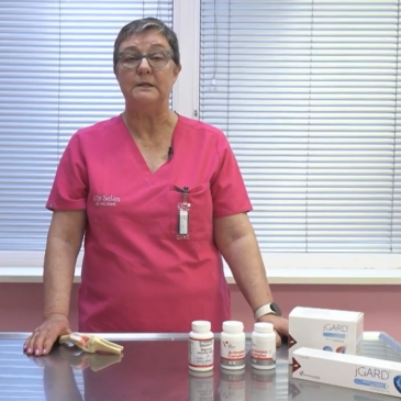 Veterinarski nasvet – Artritis pri psih in mačkah