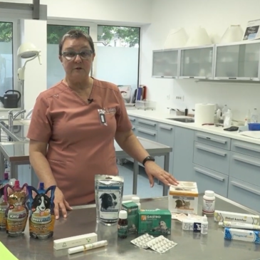 Veterinarski nasvet – popotna lekarna